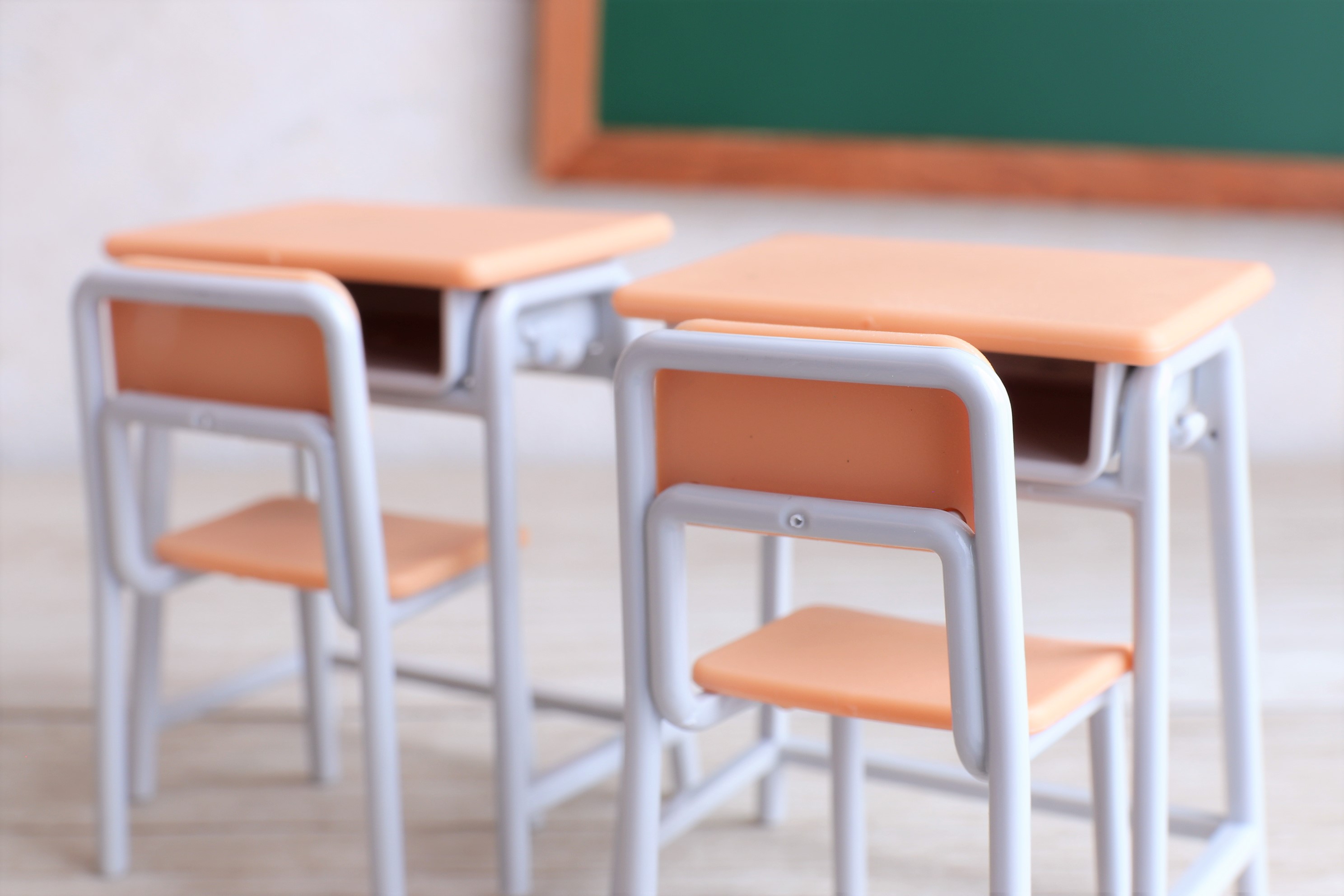 BCCインストラクターになるまで